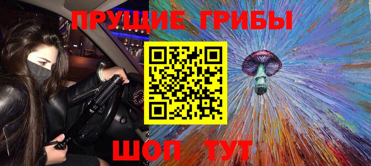 Псилоцибиновые грибы Psilocybine cubensis Златоуст