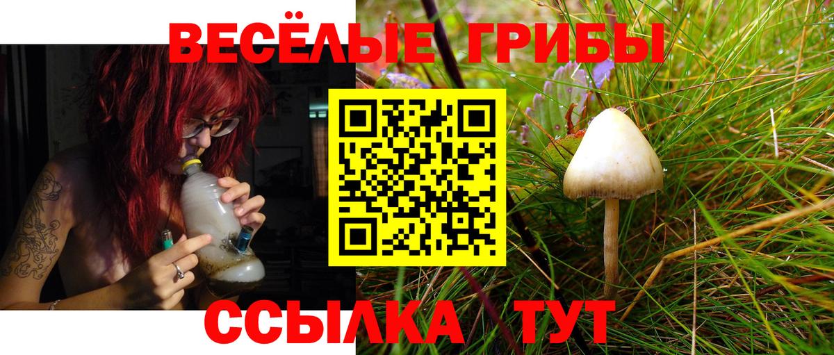 Псилоцибиновые грибы прущие грибы  Вход с VPN  Златоуст  Псилоцибиновые грибы MAGIC MUSHROOMS 